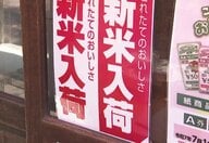 店頭価格“4割”アップも　高値が心配される「新米」　備蓄米の販売延長も…小泉農水相「新米価格への影響ないだろう」