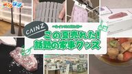 【カインズの売れ筋】この夏売れたのはコレ！掃除・洗濯・料理がラクになる最強アイデアグッズをご紹介―話題の掃除グッズに、料理がはかどる便利アイテムも！【ラクカジ】