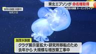 加茂水族館ネーミングライツ・東北エプソンが命名権取得　「東北エプソンアクアリウムかもすい」に　山形