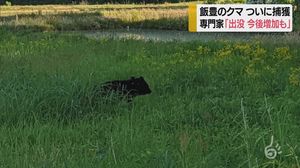 山形・飯豊町に出没のクマついに捕獲 病気で弱ってウロウロ? 専門家「出没、今後増加も」