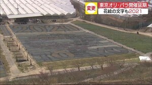 世羅の観光農園「東京2020」花絵は「21」に変更