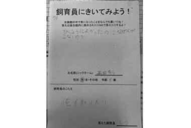 「なぜ人がこないのか」「俺も知りたい」 8歳男の子と水族館館長のストレートすぎるQ&Aに大反響