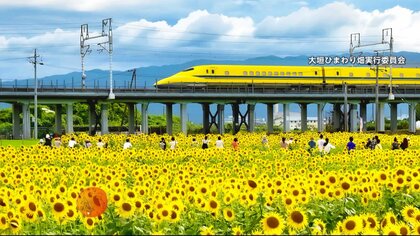 “幸せの黄色い新幹線”×ひまわり…1000人超が狙う「ドクターイエロー」“奇跡の一枚”　過去には騒然場面も　岐阜・大垣市