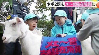 「とびだしちゃダメェ～」ヤギの“メ～誉”駐在所員誕生！地域の新戦力として事故・特殊詐欺防止に一役
