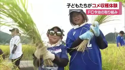 耕作放棄地で無農薬の米と地域交流に実り　ＦＣ今治が地元の子どもらと稲刈り　希少銘柄食べる予定【愛媛】