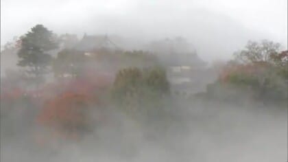 幻想的な天空の山城…国内外から訪れた人を魅了　高梁市の備中松山城周辺で雲海【岡山】