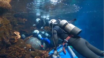 「巨大水槽の水…全部抜く」3日間に密着　大阪・海遊館 初めての水槽リニューアルで72種800匹の魚を捕獲せよ！