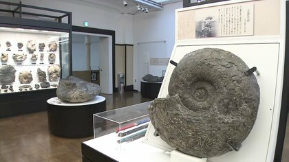 【史上最高額】あの俳優も支援！ 約９億円集まった国立科学博物館クラウドファンディング　「残って当然、残さなきゃいけない」