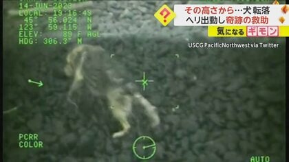 【ほぼ自由の女神】散歩中犬が崖から90ｍ転落　波が打ち寄せる岩場で必死に…　ヘリ出動し隊員が救助　米・オレゴン