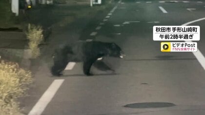 カメラが捉えた住宅街に向かって道路を横断するクマ　80代女性顔など引っかかれ搬送…秋田と福島で人身被害相次ぎ5人けが