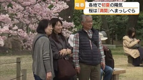 益田市で今季初の「夏日」春を通り越した陽気に桜も一気にほころぶ　Tシャツ姿でお花見（島根）