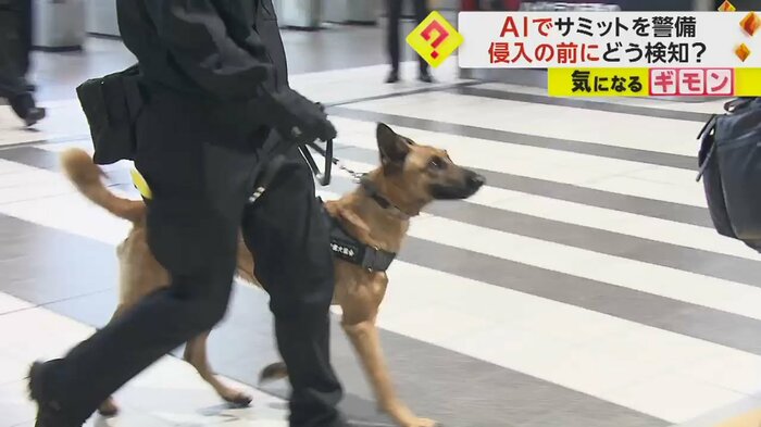警備をする危険物探知犬