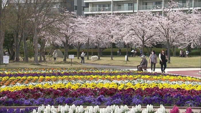 開成山公園(福島県郡山市)2025年4月11日撮影