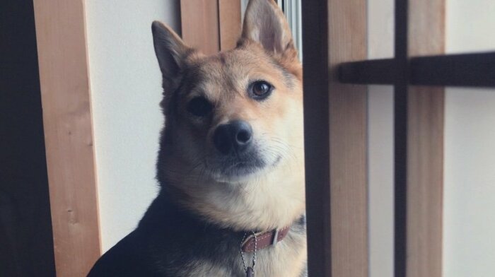 提供:山さん