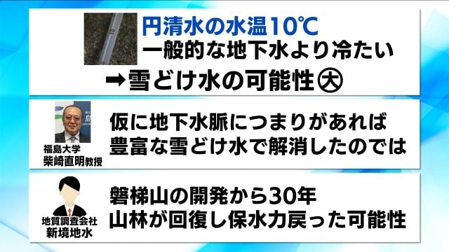 専門家たちの分析