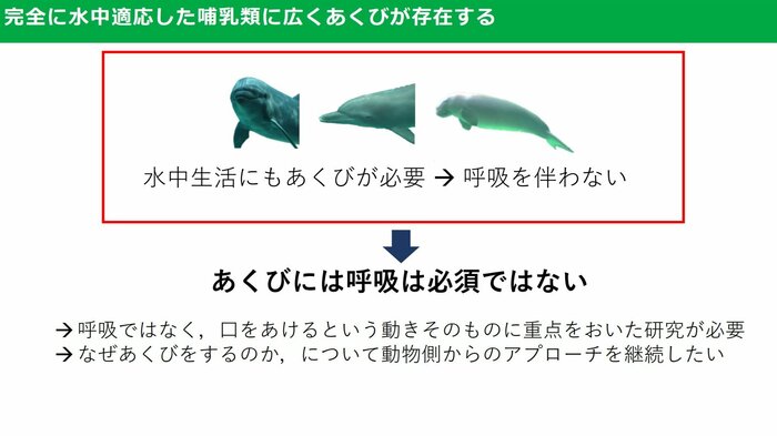 あくびについて、新たな発見につながるかもしれないという(提供:森阪教授)