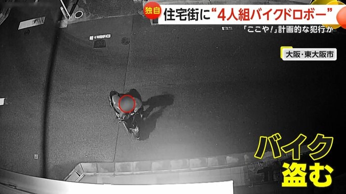 犯行に及んだ4人組(視聴者提供)