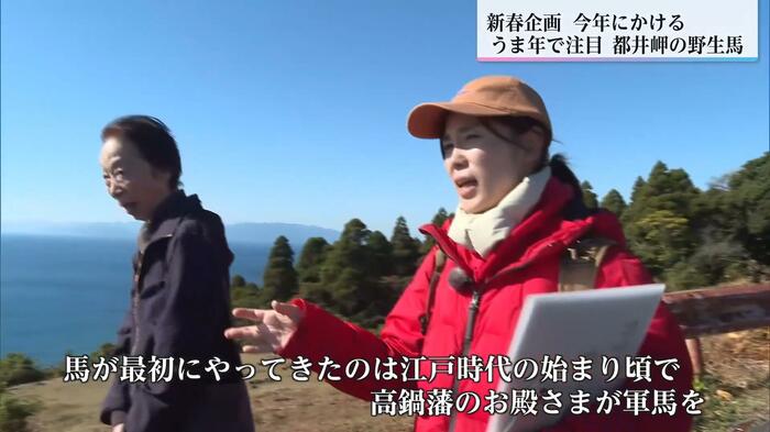 観光客に都井岬の魅力を語る世良田さん