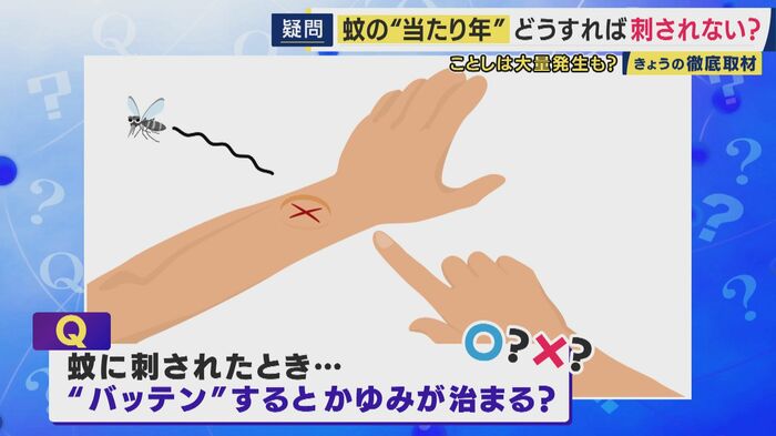 "爪でバッテン"はかゆみは治まらない