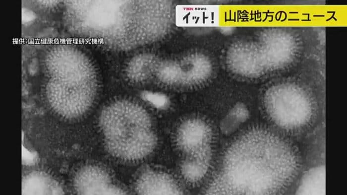 インフルエンザウイルス
