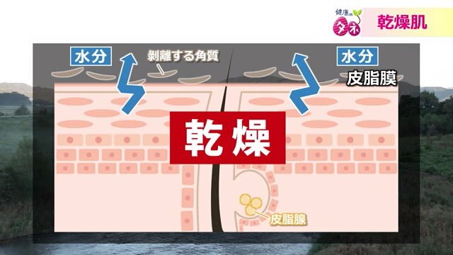 皮脂膜のバリア機能が壊れてしまっている