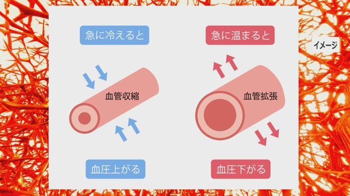 血管収縮のメカニズム