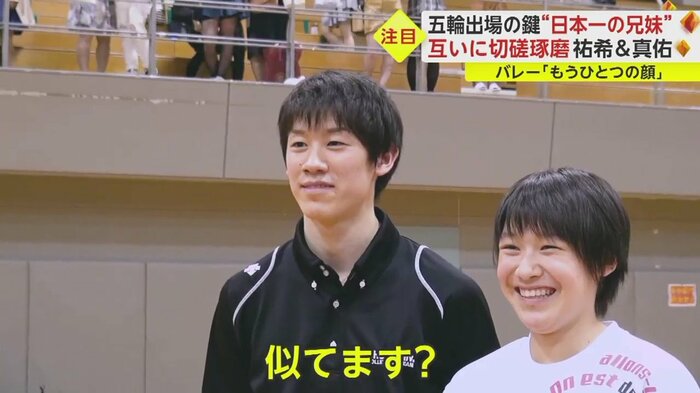 似ているとの指摘に...