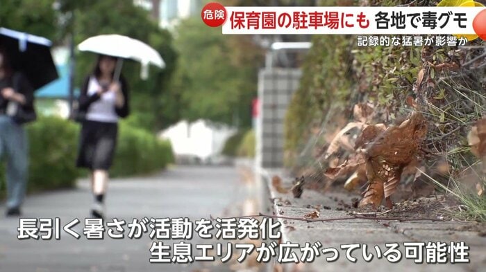 専門家は長引く猛暑が生息エリア拡大に影響と指摘