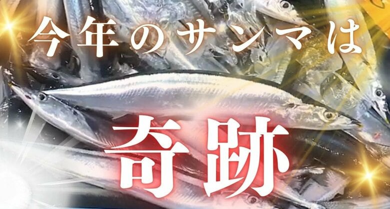 サイズが大きく脂乗りの良い “奇跡のサンマ”　取引価格も去年の3分の1　「庶民の魚」豊漁の要因は？専門家に聞く｜FNNプライムオンライン