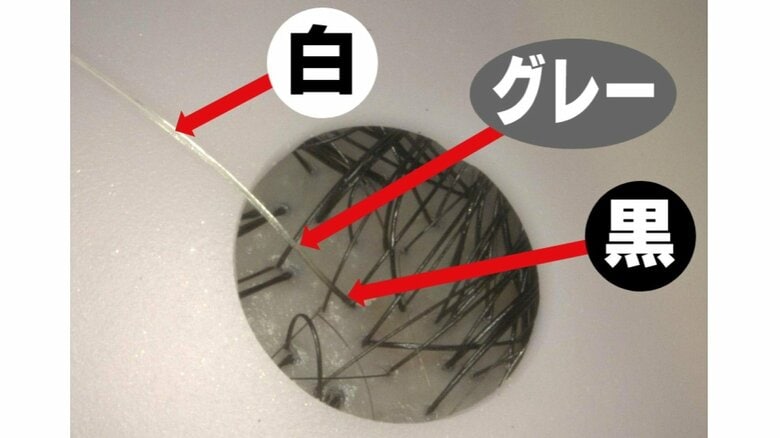 “抜くと増える”は「嘘」…デメリットも懸念　白髪を黒に戻す研究成果発表したホーユーに聞いた最新の予防と改善方法｜FNNプライムオンライン