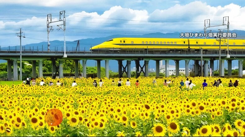 “幸せの黄色い新幹線”×ひまわり…1000人超が狙う「ドクターイエロー」“奇跡の一枚”　過去には騒然場面も　岐阜・大垣市｜FNNプライムオンライン