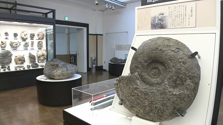 【史上最高額】あの俳優も支援！ 約９億円集まった国立科学博物館クラウドファンディング　「残って当然、残さなきゃいけない」｜FNNプライムオンライン
