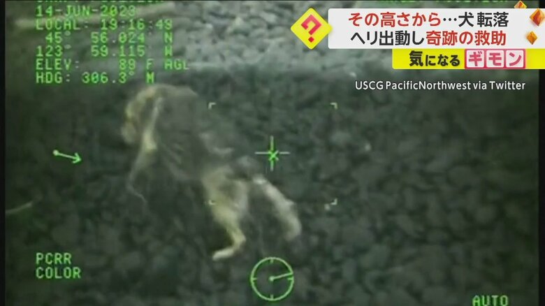 【ほぼ自由の女神】散歩中犬が崖から90ｍ転落　波が打ち寄せる岩場で必死に…　ヘリ出動し隊員が救助　米・オレゴン｜FNNプライムオンライン