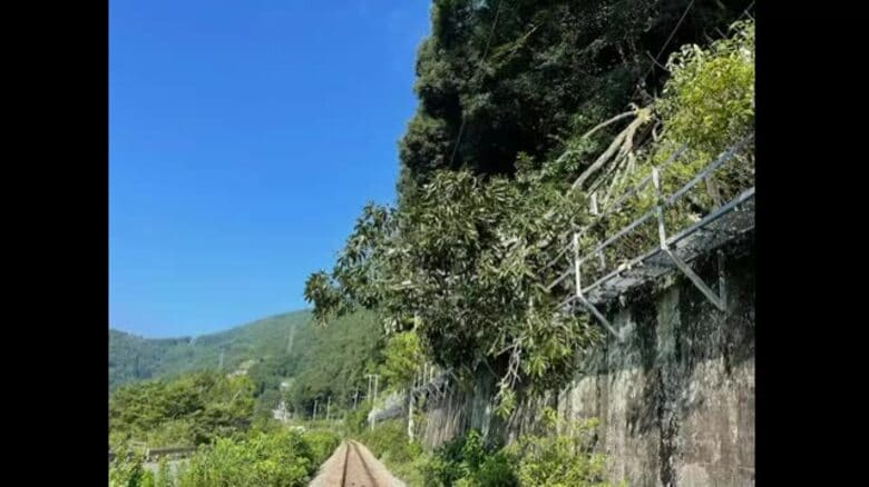 【続報】岡山・香川～高知の特急「南風」一部運休　運転再開１４時以降見込み　土讃線の一部運転見合わせ｜FNNプライムオンライン
