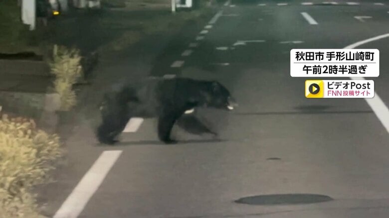 カメラが捉えた住宅街に向かって道路を横断するクマ　80代女性顔など引っかかれ搬送…秋田と福島で人身被害相次ぎ5人けが｜FNNプライムオンライン