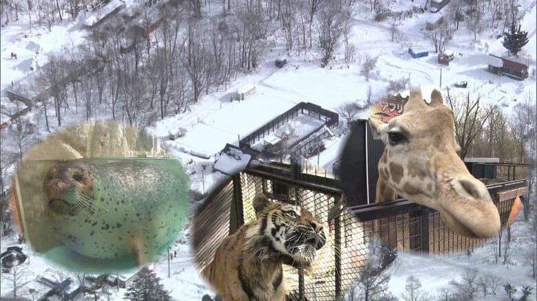どうなる？日本一危険な動物園　動物たちの“移籍先”に富士宮市が急浮上も市は「拒否」　閉園まで半年　先行きは見通せず｜FNNプライムオンライン