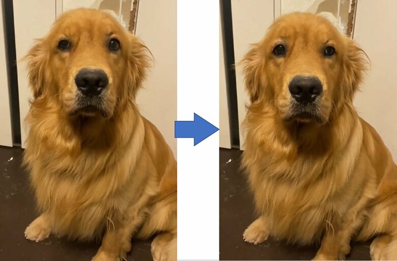 もーぎーさんの帰宅時、よそよそしい態度で座っていたという