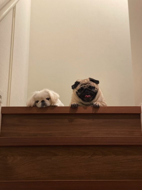 提供：よこむすびさん