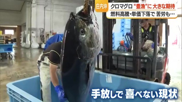 資源管理は、乱獲を防ぎ将来にわたって水産物を安定的に供給し続けるために不可欠