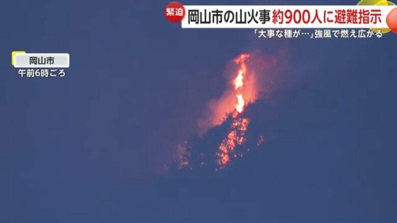 岡山県でも山林火災