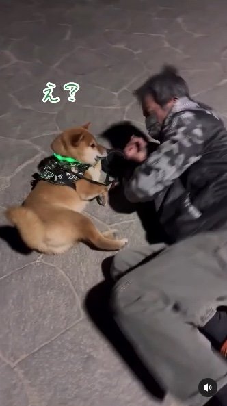 提供：カンさん