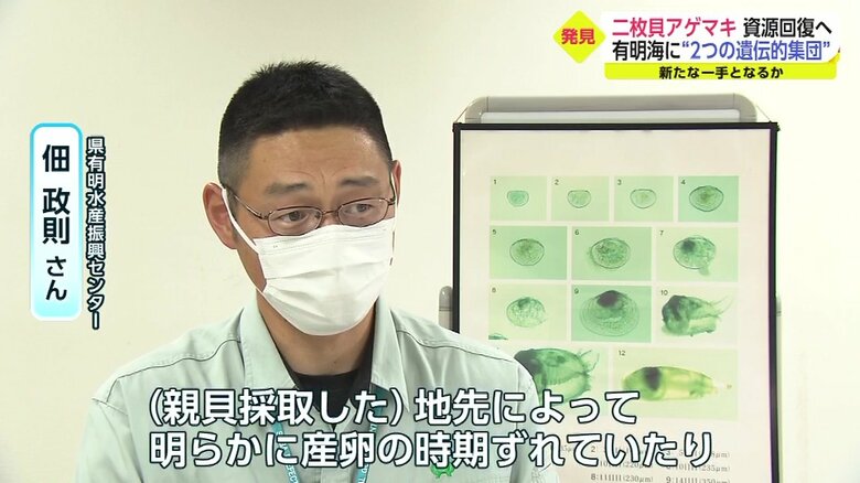 県有明水産振興センター・佃政則さん