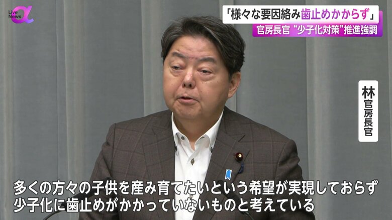 「多くの方々の子どもを産み育てたいという希望が実現していない」と話す林官房長官