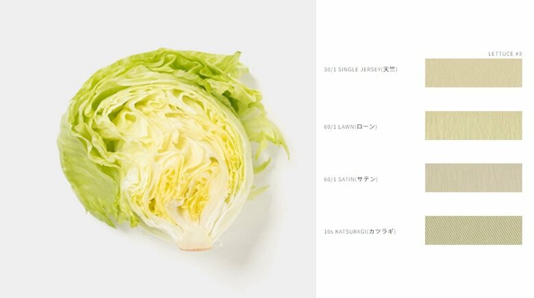 「レタス」カラーバリエーション