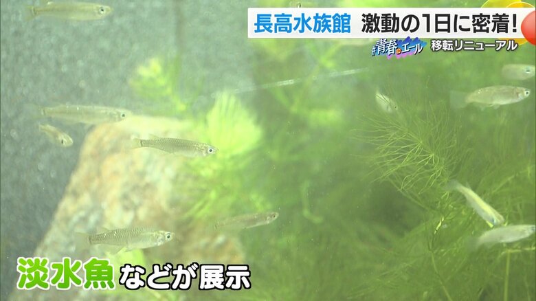 「肱川エリア」