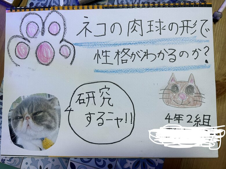 娘さんの自由研究のテーマ