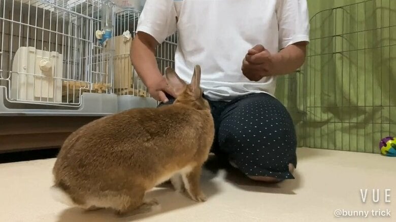 それが膝の上に変わっても