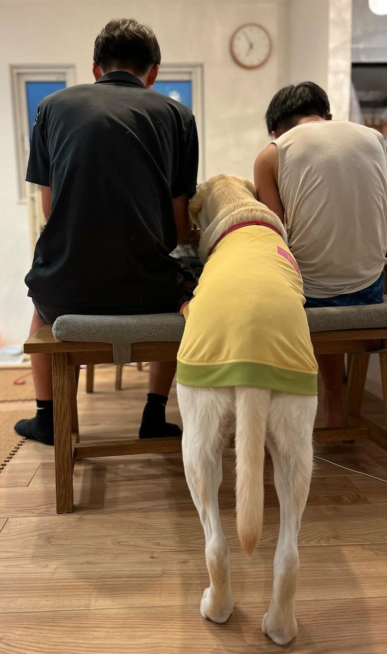 飼い主さんの息子さん（長男、次男）のご飯中にやってくるぽのくん