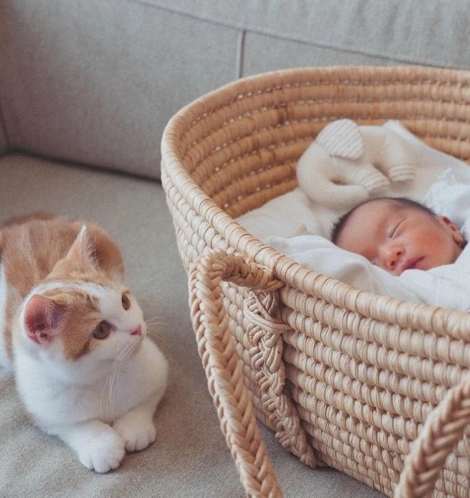 初対面の様子（提供：こなつさん）