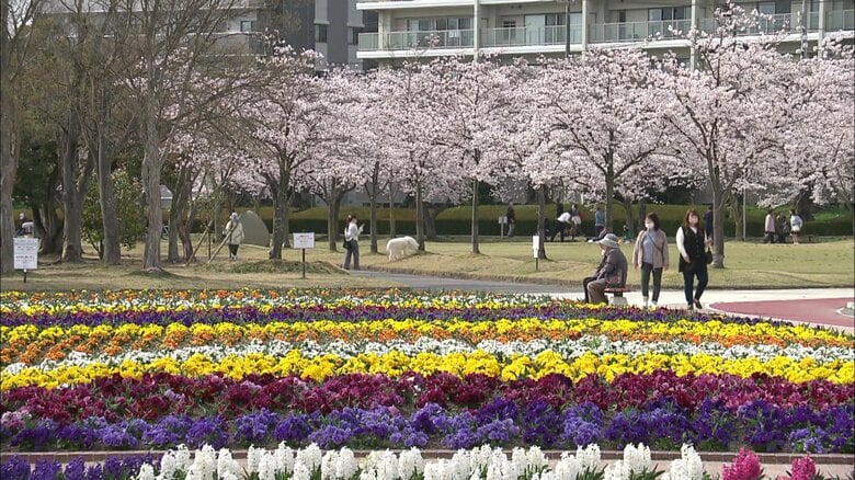 開成山公園（福島県郡山市）2025年4月11日撮影